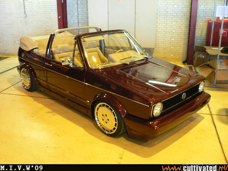 mivw09_039