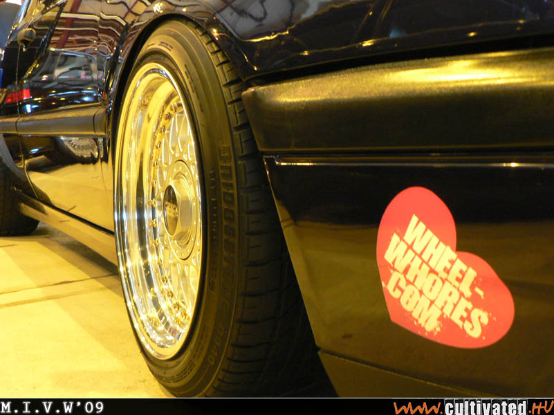 mivw09_097