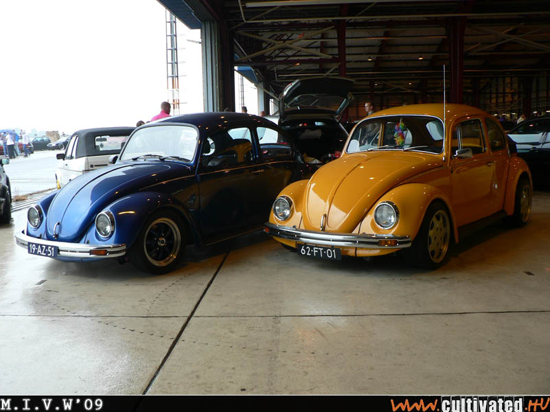 mivw09_136