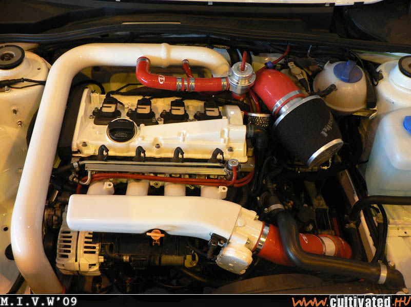 mivw09_154
