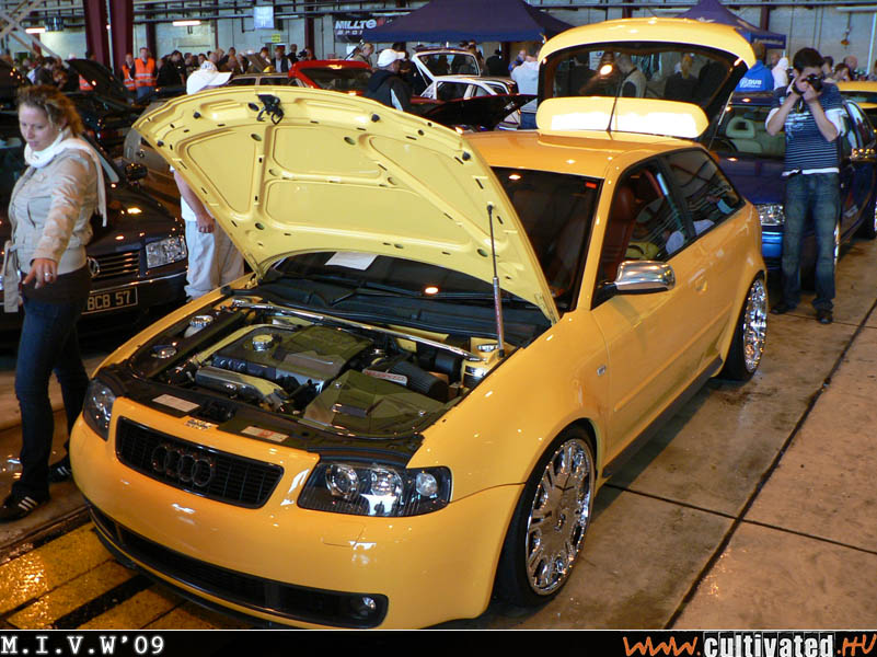 mivw09_208