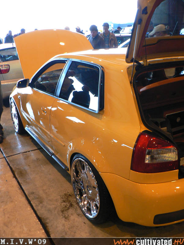 mivw09_211