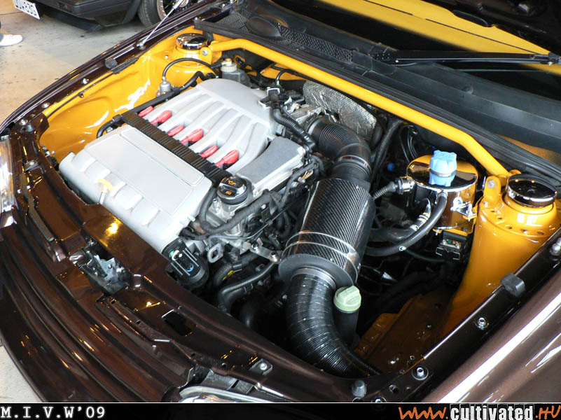 mivw09_248