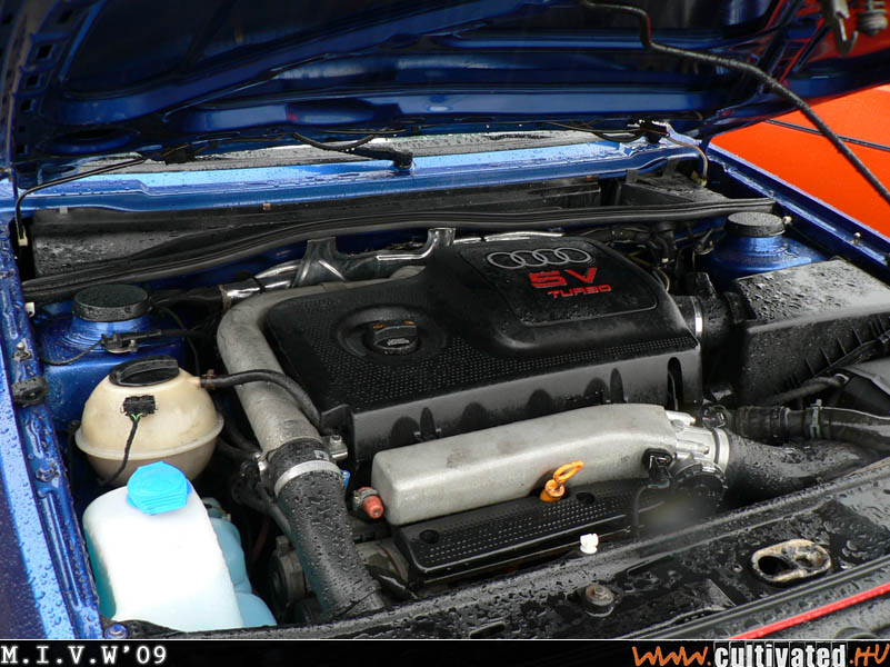 mivw09_285