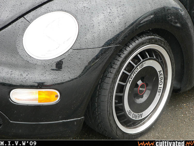 mivw09_302