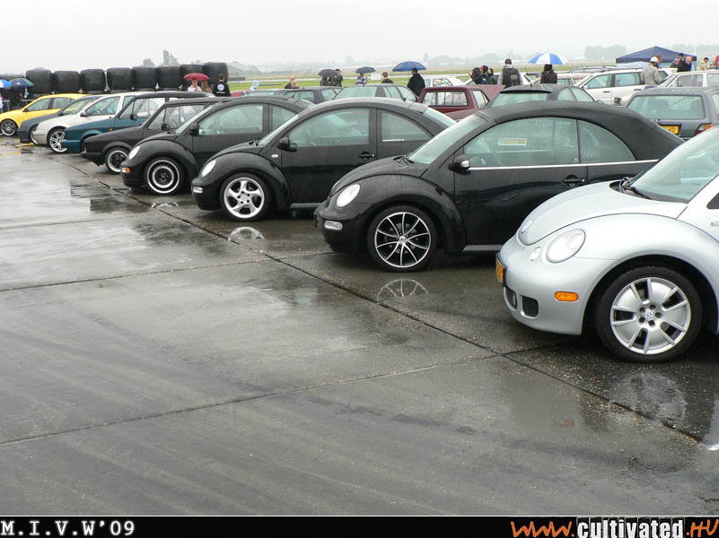 mivw09_303
