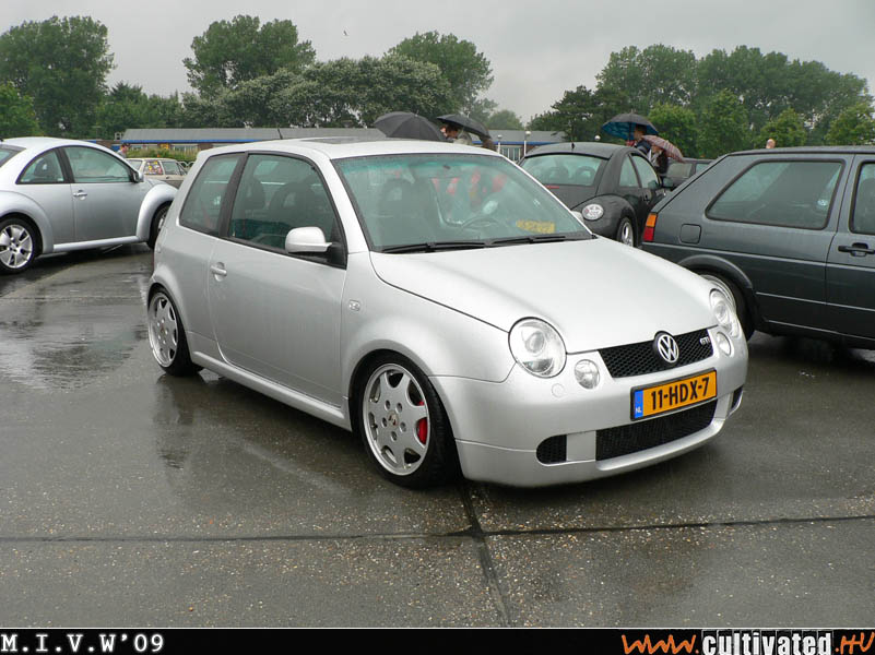 mivw09_339