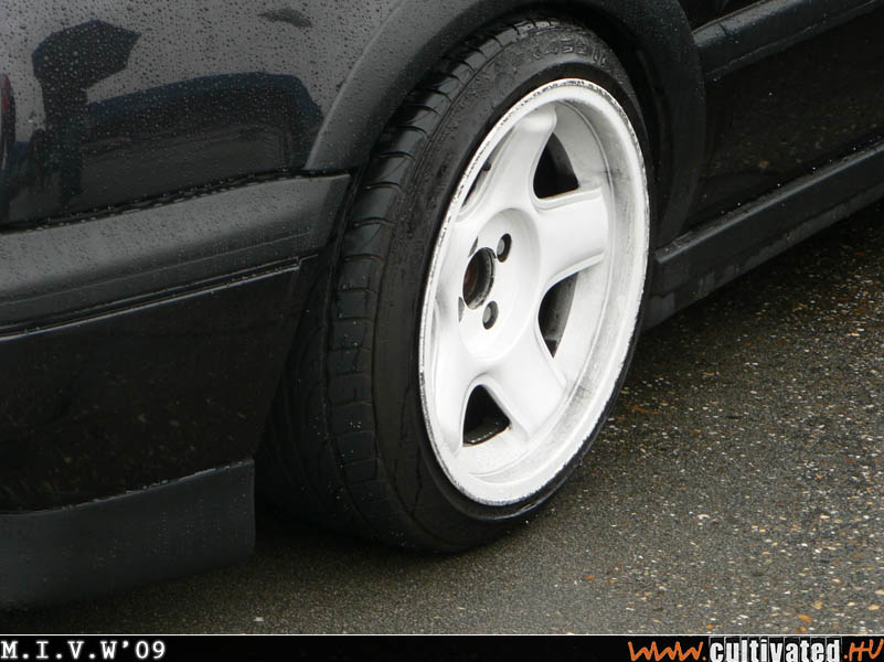mivw09_375