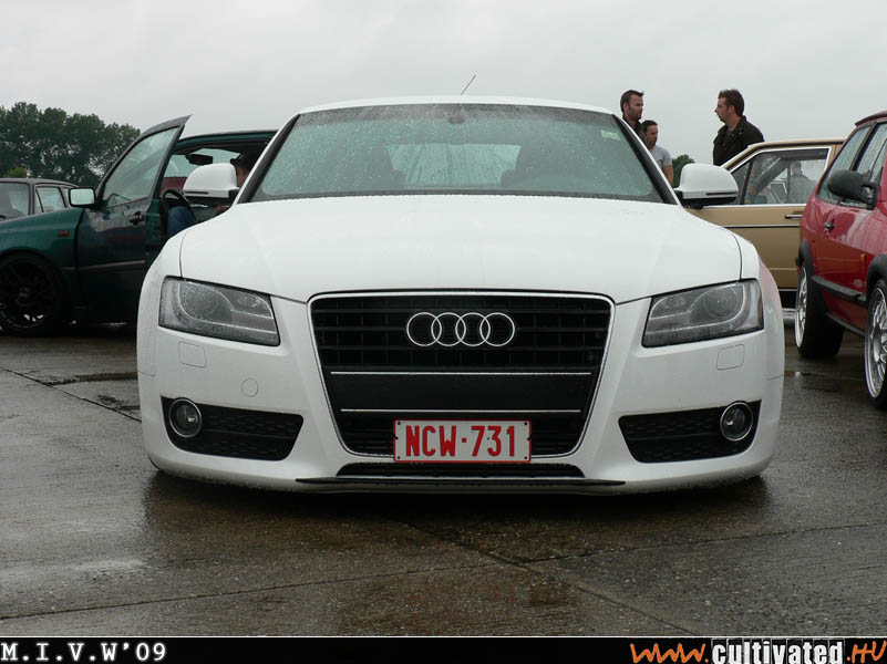 mivw09_484