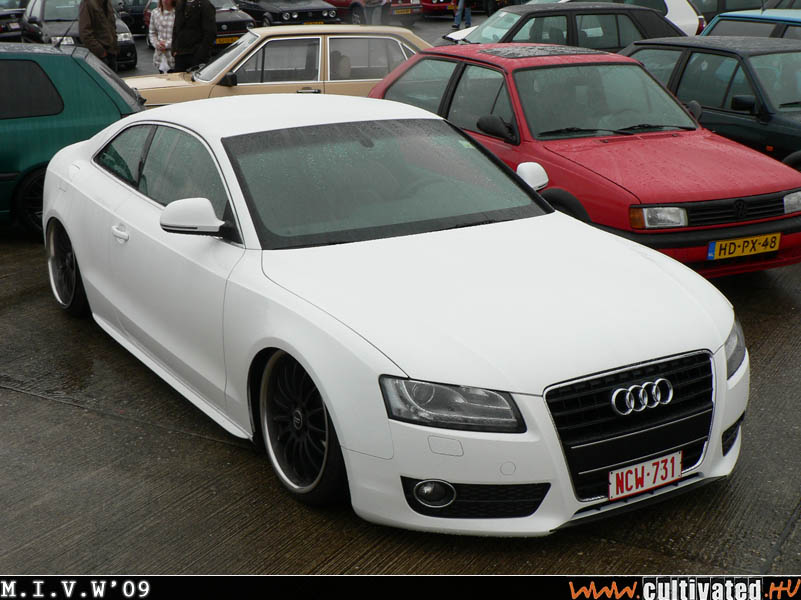 mivw09_485