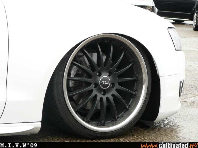 mivw09_487