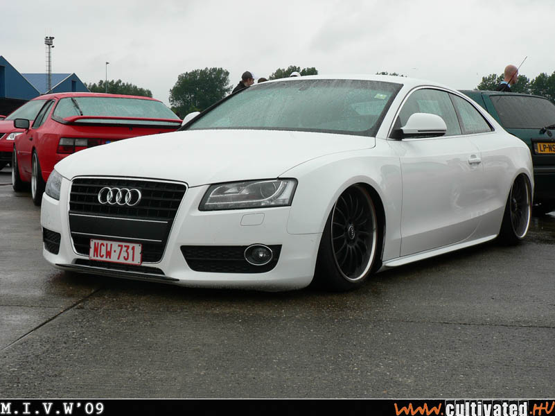 mivw09_490