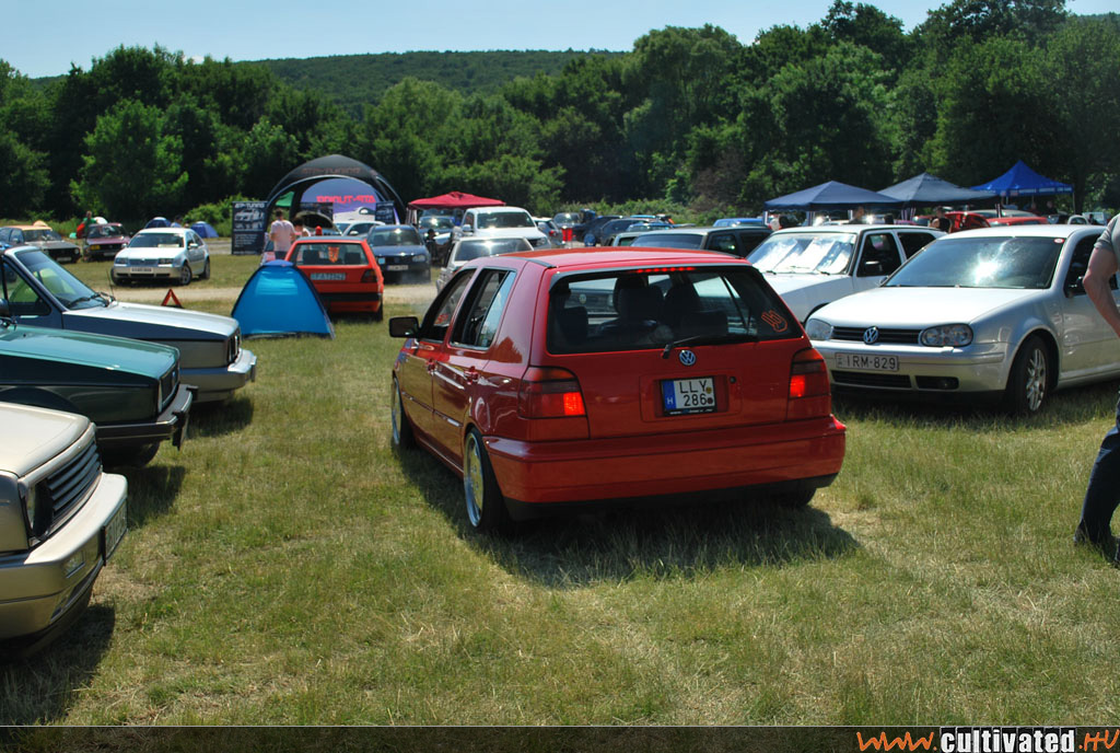 DSC_0183