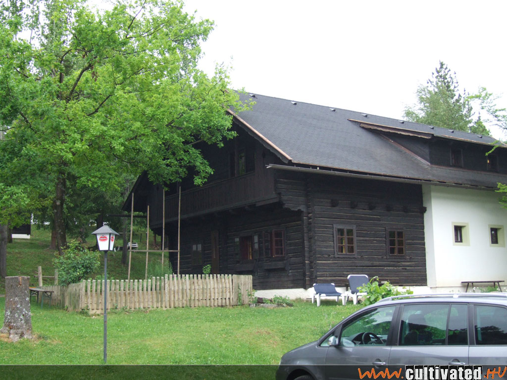 DSCF0463